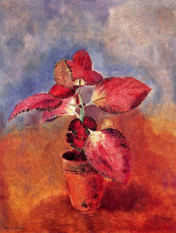 Begonia In A Pot by Odilon Redon