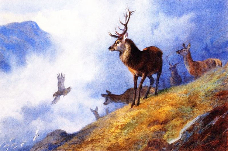 Red Deer Watching A Golden Eagle Hunt Ptarmigan by Archibald Thorburn