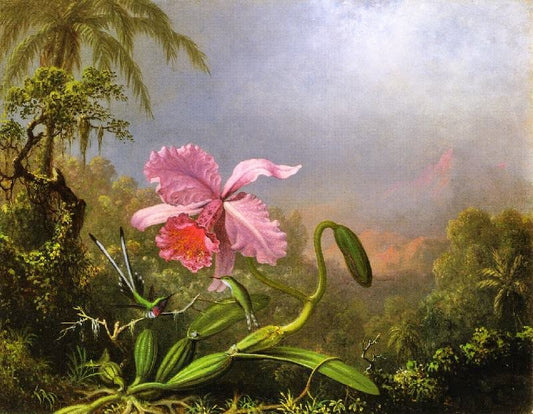 Two Hummingbirds By An Orchid by Martin Johnson Heade