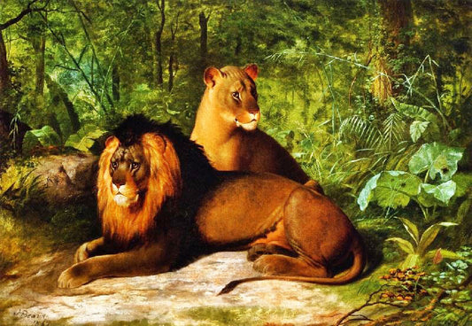 Lion And Lioness by James Henry Beard