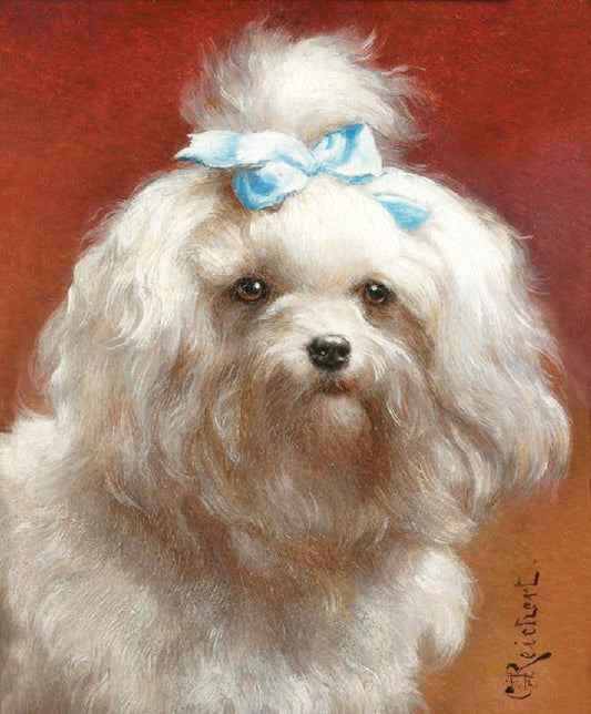 The Blue Bow by Carl Reichert