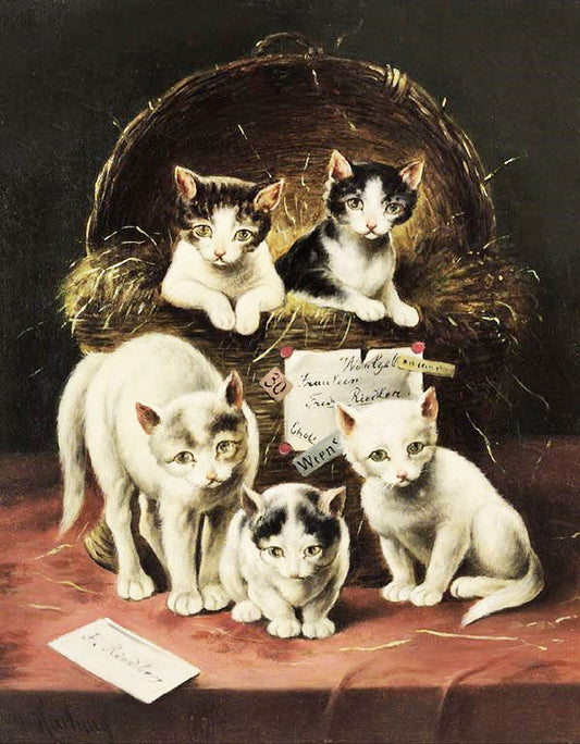 Surprise by Carl Reichert