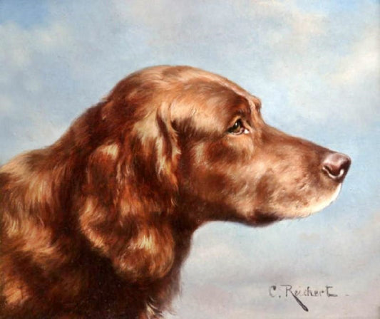 Irish Setter by Carl Reichert
