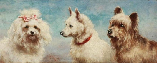 The Admirers by Carl Reichert