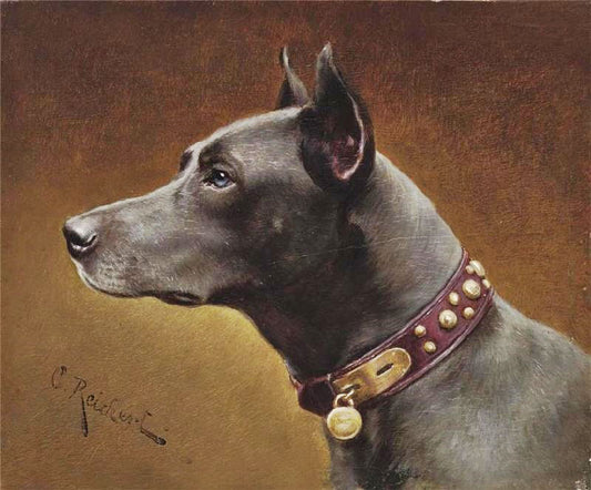 Black Doberman by Carl Reichert