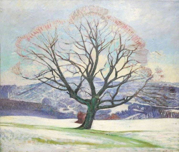 Wych Elm In Winter by William Rothenstein