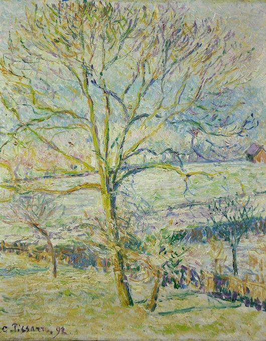 Walnut, Tree by Camille Pissarro