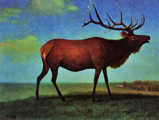 Elk by Albert Bierstadt