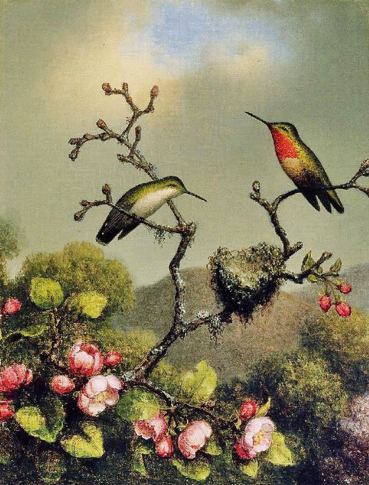 Ruby Throat Of North America by Martin Johnson Heade
