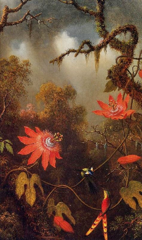 Two Hummingbirds Perched On Passion Flower Vines by Martin Johnson Heade