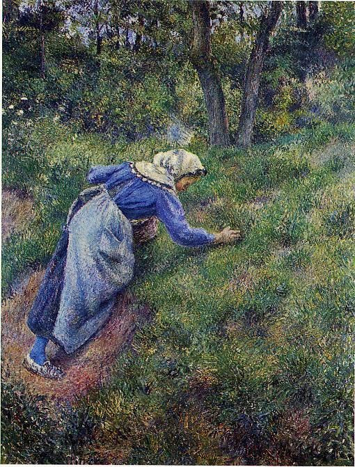 Peasant Gathering Grass by Camille Pissarro