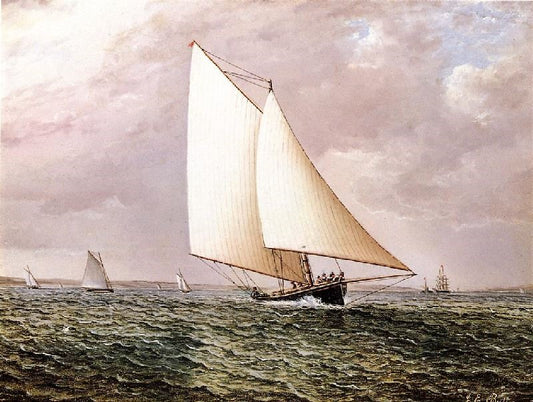 Rival Off Bay Ridge by James E. Buttersworth