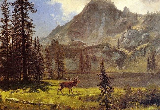 Call Of The Wild by Albert Bierstadt