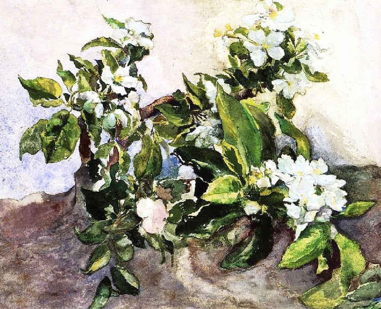 Apple Blossoms, 1883 by John La Farge