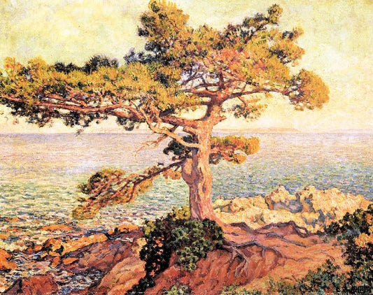 Pine By The Mediterranean Sea by Theo van Rysselberghe