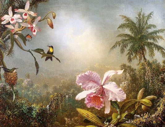 Orchids, Nesting Hummingbirds And A Butterfly by Martin Johnson Heade