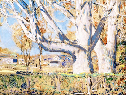 The Giant Ailanthus, October by Childe Hassam