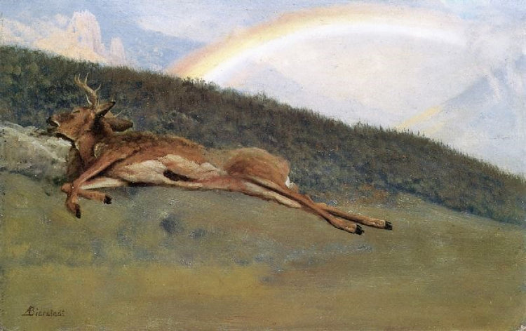 Rainbow Over A Fallen Stag by Albert Bierstadt