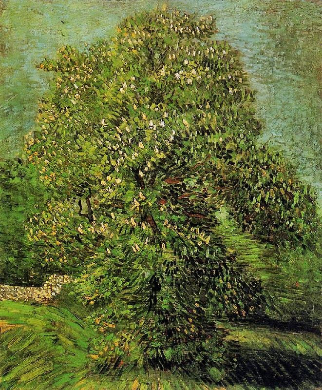 Chestnut Tree In Bloom by Vincent van Gogh