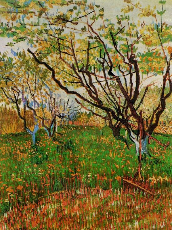 Orchard In Bloom by Vincent van Gogh