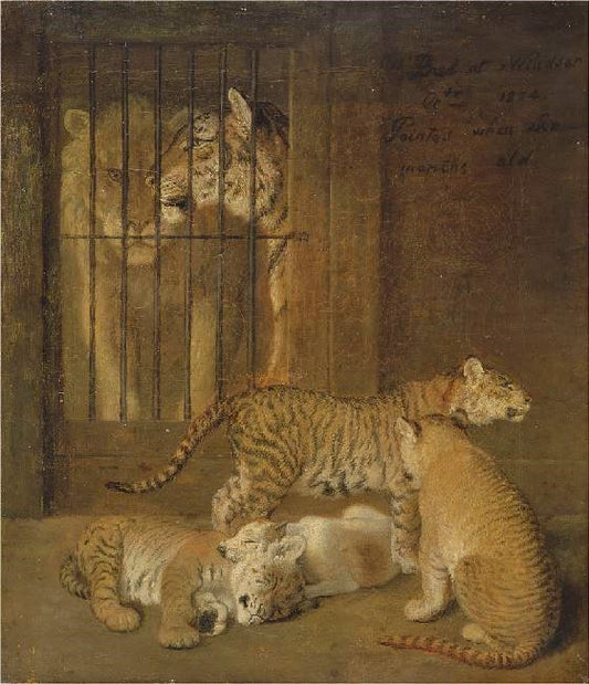Group Of Whelps Bred Between A Lion And A Tigress by Jacques-Laurent Agasse