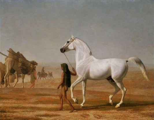 The Wellesley Grey Arabian Led Through The Desert by Jacques-Laurent Agasse