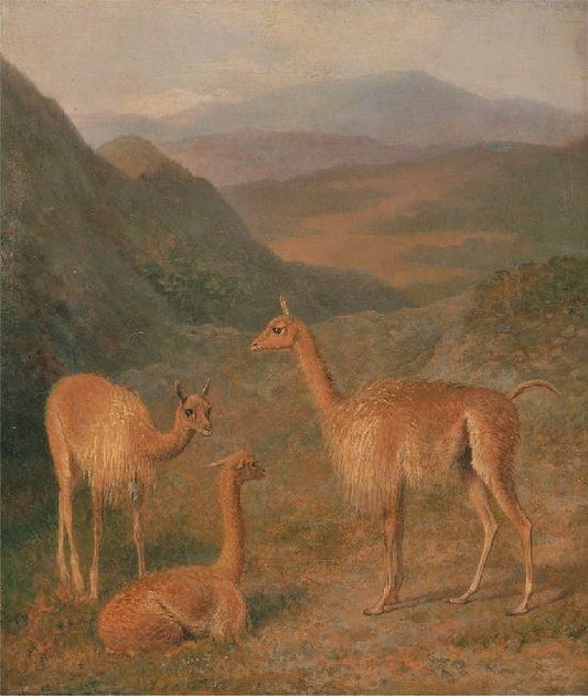Vicunas by Jacques-Laurent Agasse