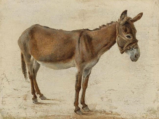 A Donkey by Jacques-Laurent Agasse