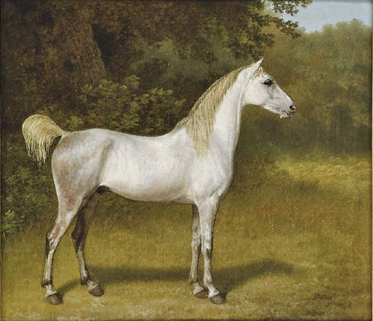 An Arab Stallion In A Landscape by Jacques-Laurent Agasse