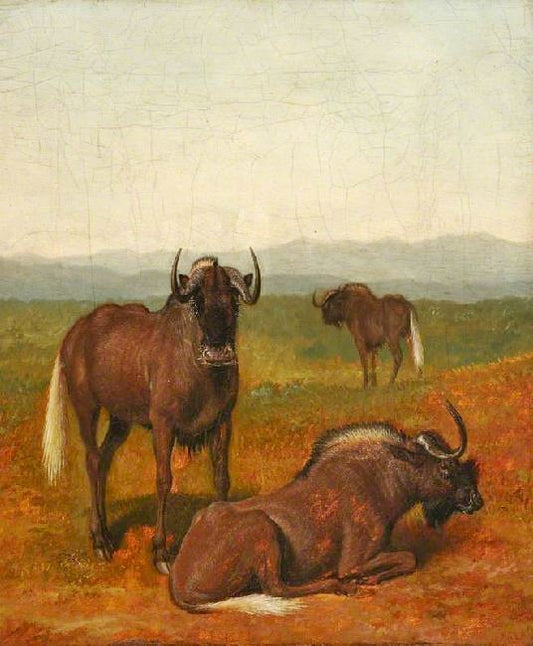Gnus by Jacques-Laurent Agasse