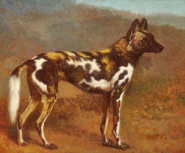 Cape Hunting Dog by Jacques-Laurent Agasse