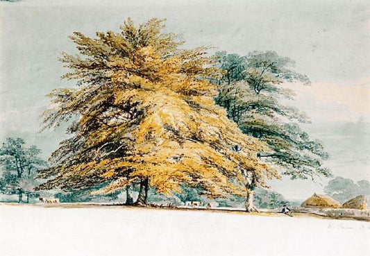 A Beech Copse Near Haystacks by Joseph Turner