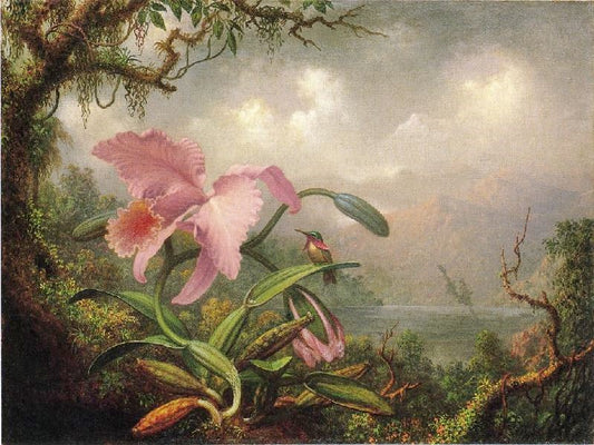 Orchid And Hummingbird by Martin Johnson Heade
