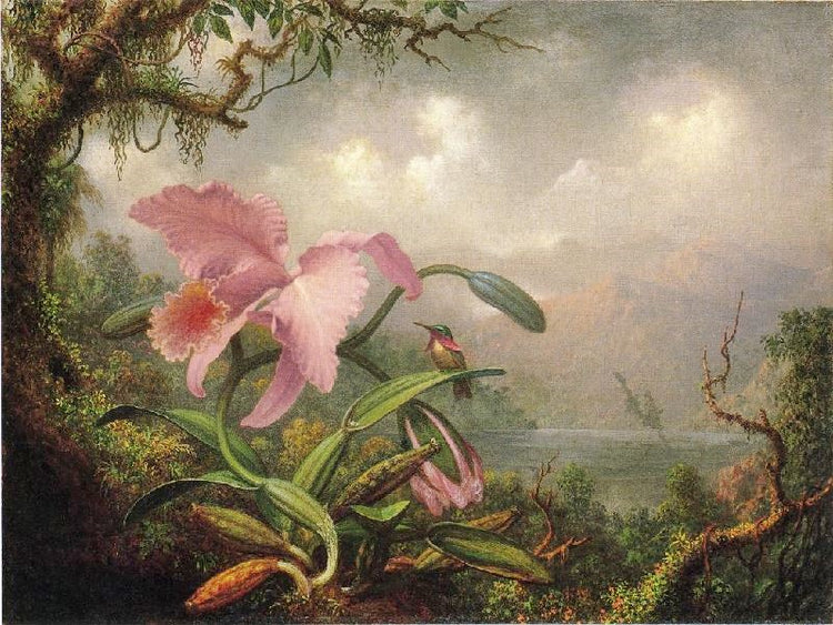 Orchid And Hummingbird by Martin Johnson Heade