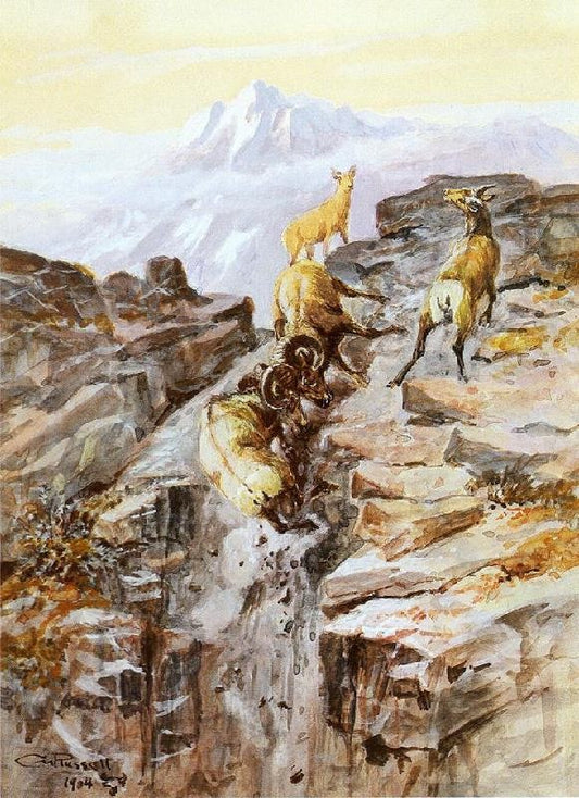 Big Horn Sheep by Charles Marion Russell