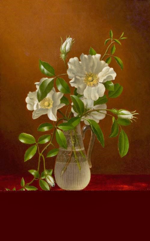Cherokee Roses In A Glass Vase by Martin Johnson Heade