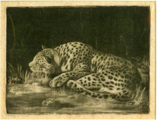 A Cheetah Sleeping by George Stubbs
