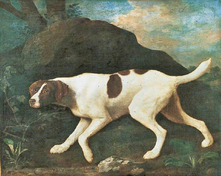 Phyllis’ A Pointer Of Lord Clermont’S by George Stubbs