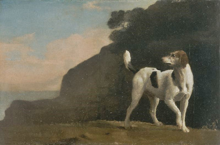 A Foxhound by George Stubbs