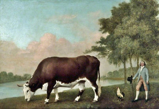 The Lincolnshire Ox by George Stubbs