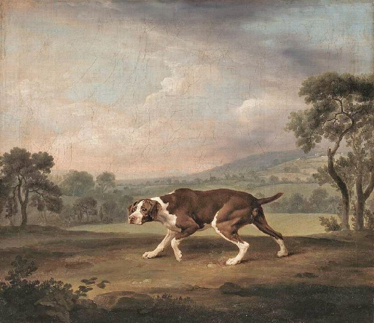 Pointer by George Stubbs