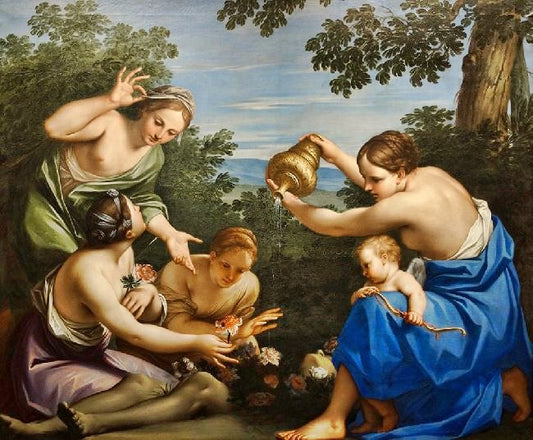 Story Of Venus And Diana - The Metamorphosis Of The Dead Adonis by Marcantonio Franceschini
