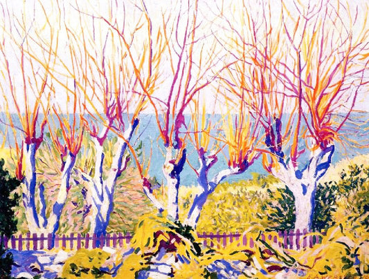 Tamarisk, Pride Of India, Bermuda by Edwin Ambrose Webster