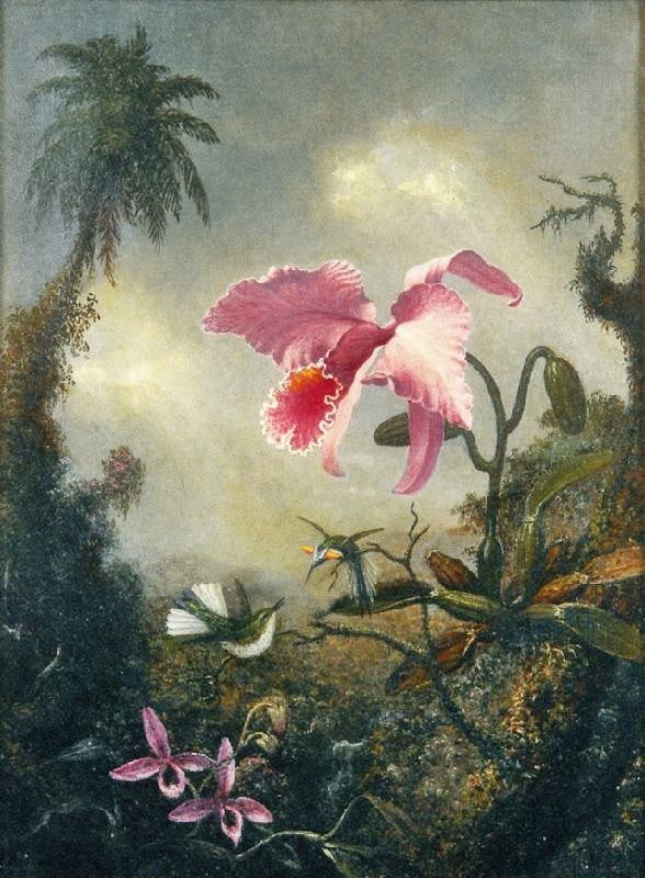 Two Hummingbirds, Two Types Of Orchids And A Palm Tree by Martin Johnson Heade