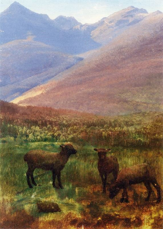 White Mountains Near Glen House by Albert Bierstadt