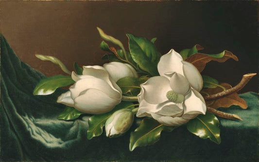 Magnolias On Light Blue Velvet Cloth by Martin Johnson Heade