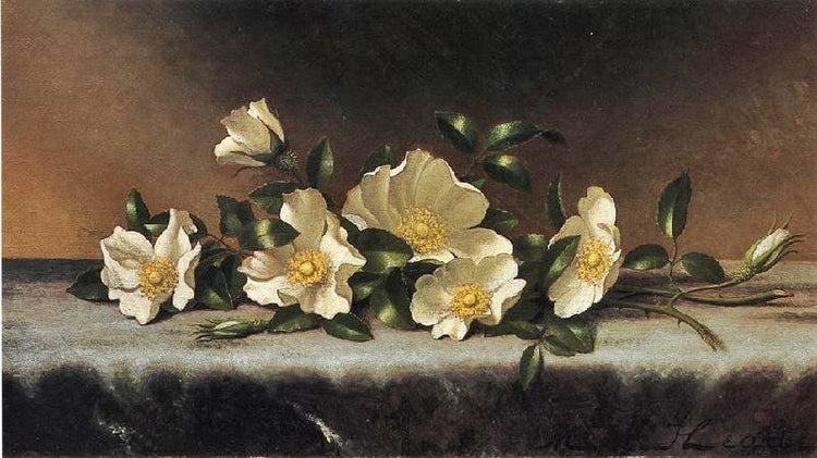 Cherokee Roses On A Light Gray Cloth by Martin Johnson Heade