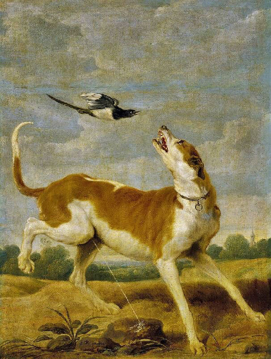 The Dog And Magpie by Paul de Vos