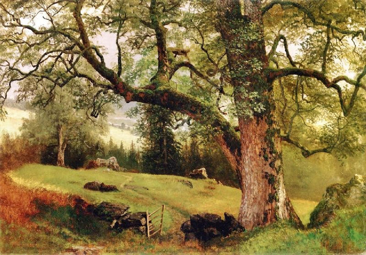 A Trail Through The Trees by Albert Bierstadt