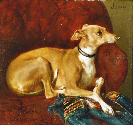 A Greyhound Resting On A Chair by Jacques-Raymond Brascassat